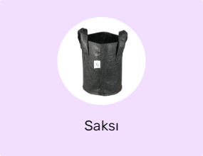 Saksı