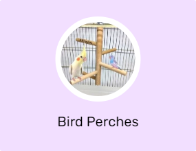 Bird Perches