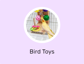Bird Toys