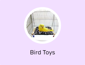 Bird Toys