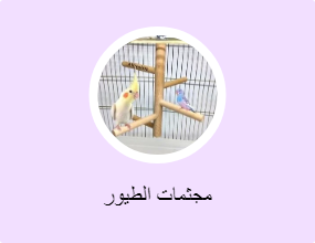 جثم الطيور