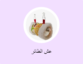 عش الطائر