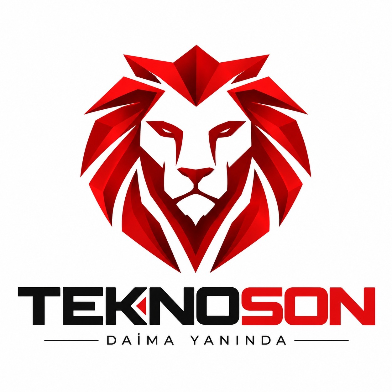 Tekno Ason