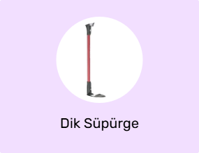 Dik Süpürge