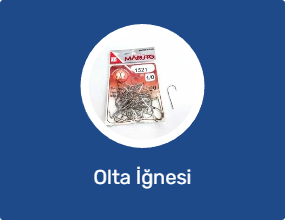 Olta İğnesi