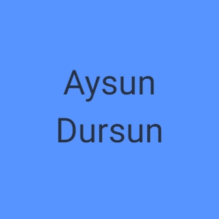 AYSN SHOP logo