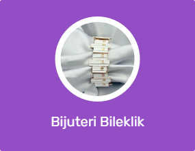 Bijuteri Bileklik
