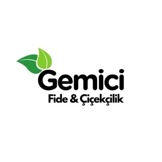 GEMİCİ FİDE-FİDAN&ÇİÇEKÇİLİK