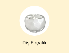 Diş Fırçalık