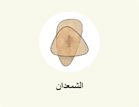 الشمعدان