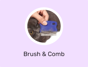 Brush & Comb