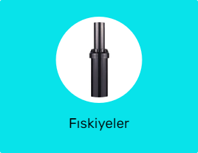 Fıskiyeler