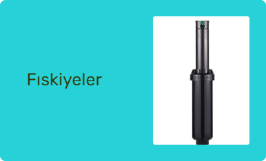 Fıskiyeler