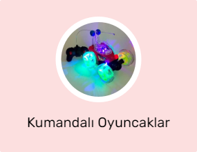 Kumandalı Oyuncaklar