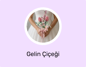Gelin Çiçeği