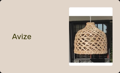 Avize