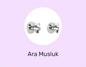 Ara Musluk