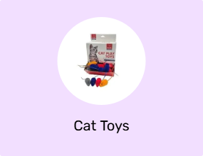 Cat Toys