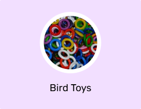 Bird Toys