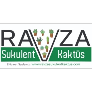 Ravza I Sukulent Kaktüs logo