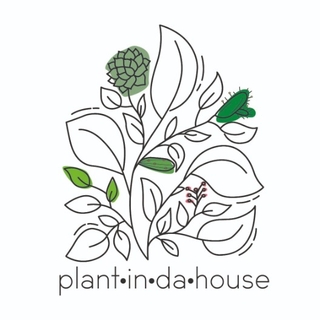 Plant in da House