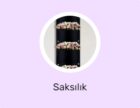 Saksılık