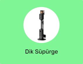 Dik Süpürge