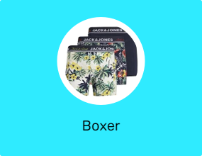 Boxer