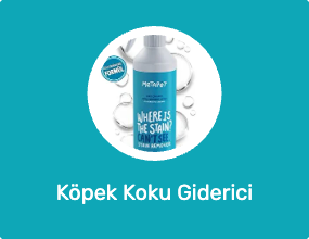 Köpek Koku Giderici