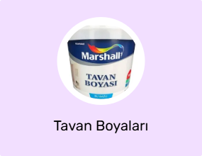 Tavan Boyaları