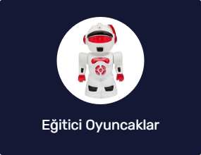 Eğitici Oyuncaklar