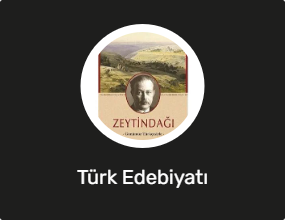 Türk Edebiyatı