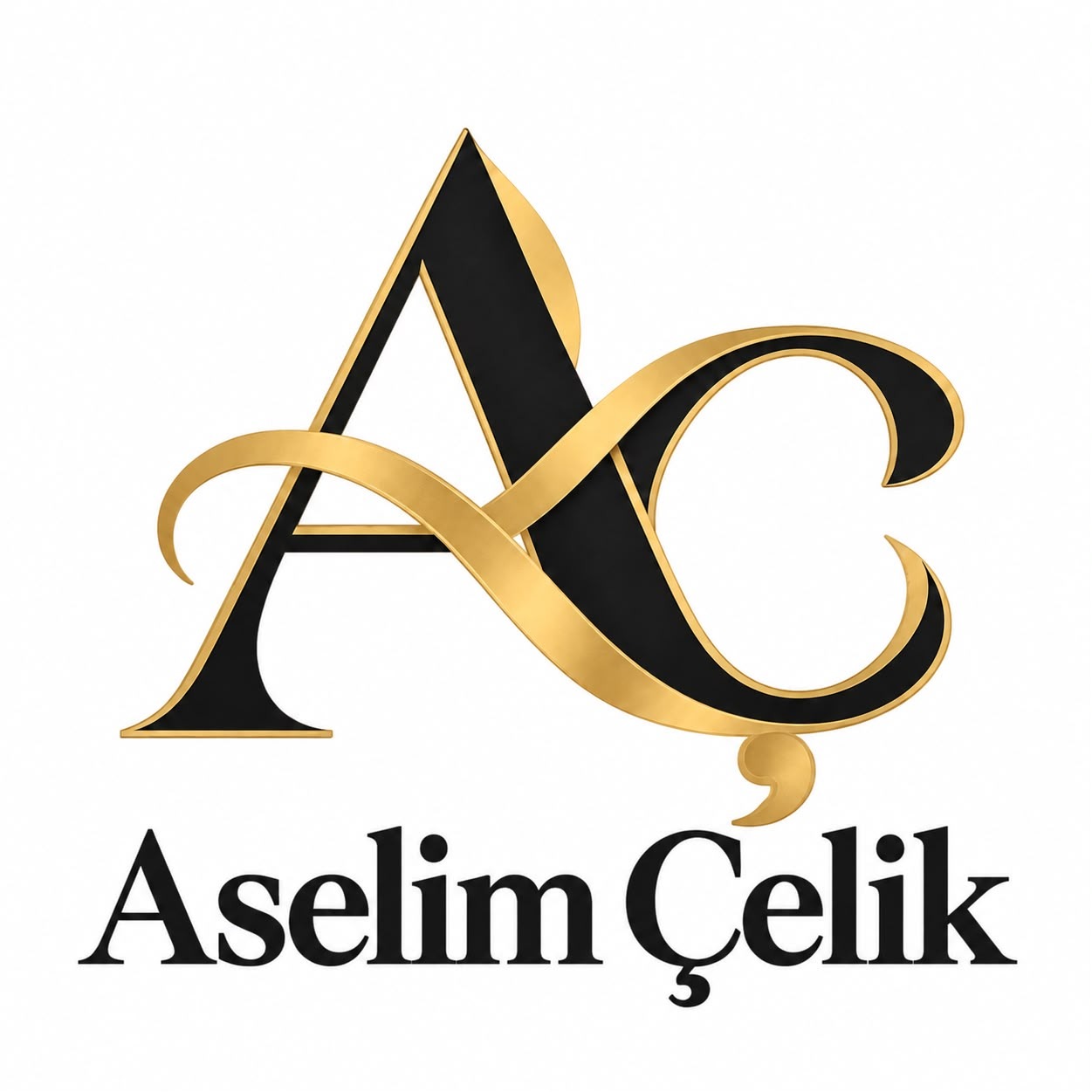ASELİM ÇELİK