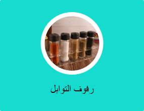 رفوف التوابل