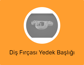 Diş Fırçası Yedek Başlığı