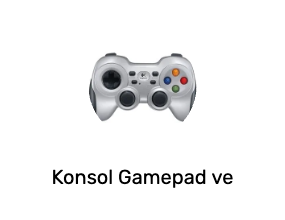 Konsol Gamepad ve Joystick