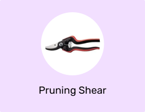 Pruning Shear