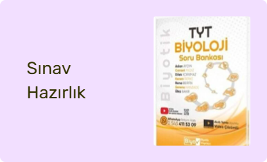 Sınav Hazırlık