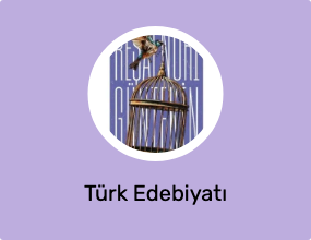 Türk Edebiyatı