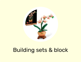 Building sets & block toys