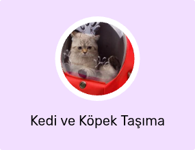 Kedi ve Köpek Taşıma Çantası