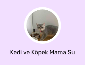 Kedi ve Köpek Mama Su Kabı