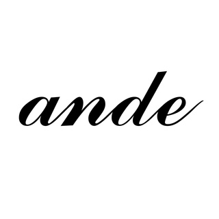 ANDE logo
