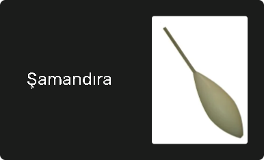Şamandıra