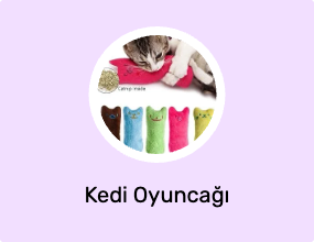 Kedi Oyuncağı