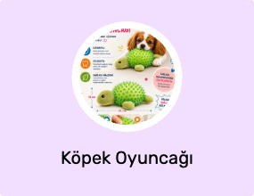 Köpek Oyuncağı