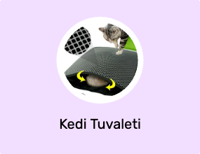 Kedi Tuvaleti