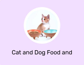 Cat and Dog Food and Water Containers