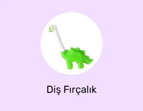 Diş Fırçalık