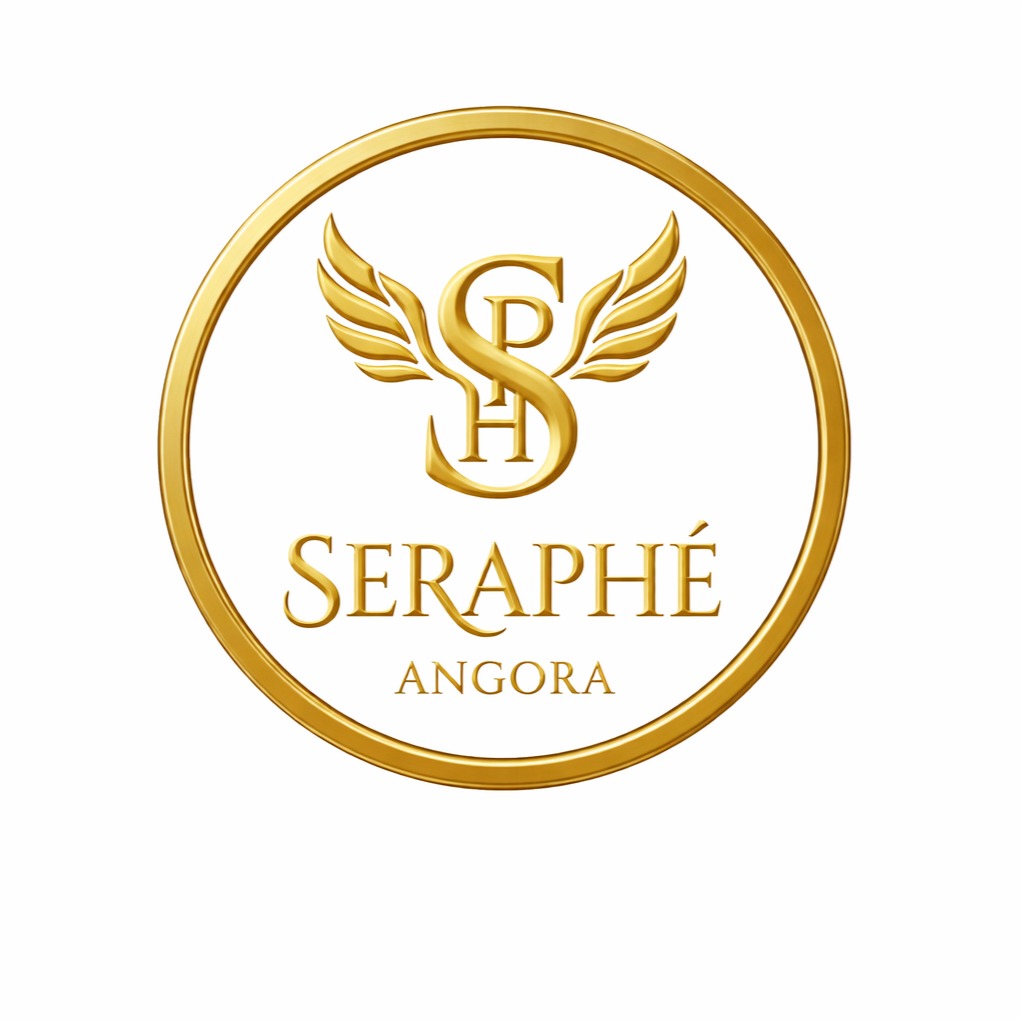 Seraphe logo